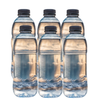 Alkaline Water 6 pack (1)